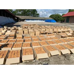100gr Quế Thanh Cạo Vỏ Khô Tự Nhiên Loại Đẹp Đều Hàng Loại 1 Cao Cấp Việt Nam