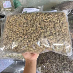 1Kg Ké Đầu Ngựa (Thương Nhĩ Tử) Sao Vàng Hạ Thổ, Khô, Thơm, Thảo Mộc Tự Nhiên Thường Dùng Pha Trà Thanh Lọc