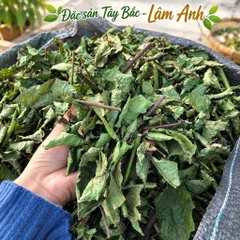 5Kg Xạ Đen Hoà Bình (Đã Sao Vàng Hạ Thổ), Cả Thân Và Lá, Bản Mường Vụ Mới Khô Thơm, Giúp Dễ Ngủ, Thanh Nhiệt, Mát Gan