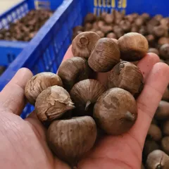 1Kg Tỏi Đen Cô Đơn (Loại 1 Không Vỡ Vỏ) Lên Men Tự Nhiên – Hỗ Trợ Tiêu Hóa, Tăng Sức Đề Kháng, Dẻo Thơm Dễ Ăn