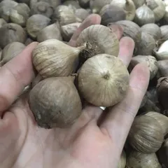 1Kg Tỏi Đen Cô Đơn (Loại 1 Không Vỡ Vỏ) Lên Men Tự Nhiên – Hỗ Trợ Tiêu Hóa, Tăng Sức Đề Kháng, Dẻo Thơm Dễ Ăn