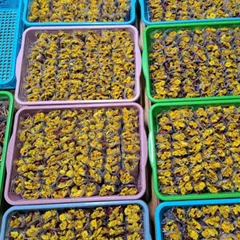 Trà Hoa Quả Mix Nhiều Vị Đặc Biệt (Da Đẹp, Dáng Xinh, An Thần, Thanh Lọc, Mát Gan, Giảm Stress..)