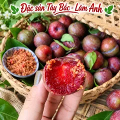 Combo 2-3-5 Lọ Muối Ô Mai Bà Thu (Lọ 100Gr) – Muối Chấm Xoài Cóc Ổi, Ăn Vặt Thơm Ngon, Gia Vị Chấm Trái Cây Chua Ngọt