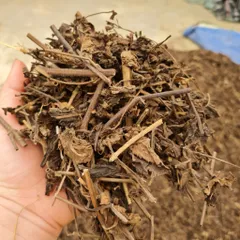 1Kg Trà Nhân Trần Cam Thảo (Đã Sao Vàng Hạ Thổ) Kết Hợp La Hán, Cỏ Ngọt, Vị Thơm Dễ Uống, Thanh Lọc Cơ Thể, Giải Nhiệt