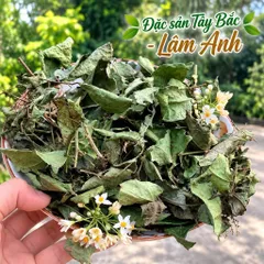 2Kg Xạ Đen Hoà Bình (Đã Sao Vàng Hạ Thổ), Cả Thân Và Lá, Vụ Mới Khô Thơm, Giúp Dễ Ngủ, Thanh Nhiệt, Mát Gan, Trà Detox