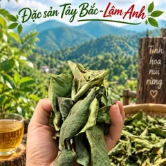 1Kg Nguyên Lá Xạ Đen Hoà Bình (Đã Sao Vàng Hạ Thổ) Bản Mường Vụ Mới Khô, Thơm, Giúp Dễ Ngủ, Thanh Nhiệt, Mát Gan, Detox
