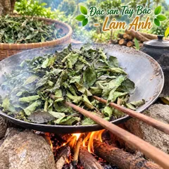 1Kg Nguyên Lá Xạ Đen Hoà Bình (Đã Sao Vàng Hạ Thổ) Bản Mường Vụ Mới Khô, Thơm, Giúp Dễ Ngủ, Thanh Nhiệt, Mát Gan, Detox