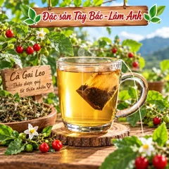 1Kg Túi Lọc Cà Gai Leo Hoà Bình, Đạt Chuẩn GACPWHO (Có Chứng Nhận ATTP) Đã Sao Hạ Thổ, Khô, Thơm, Giải Nhiệt, Thanh Mát