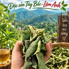 2Kg Nguyên Lá Xạ Đen Hoà Bình (Đã Sao Vàng Hạ Thổ) Bản Mường Vụ Mới Khô, Thơm, Giúp Dễ Ngủ, Thanh Nhiệt, Mát Gan, Detox