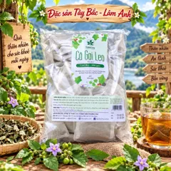 1Kg Túi Lọc Cà Gai Leo Hoà Bình, Đạt Chuẩn GACPWHO (Có Chứng Nhận ATTP) Đã Sao Hạ Thổ, Khô, Thơm, Giải Nhiệt, Thanh Mát