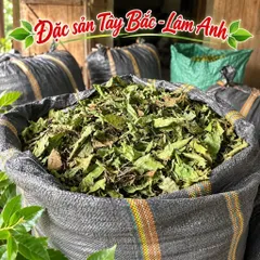 2Kg Nguyên Lá Xạ Đen Hoà Bình (Đã Sao Vàng Hạ Thổ) Bản Mường Vụ Mới Khô, Thơm, Giúp Dễ Ngủ, Thanh Nhiệt, Mát Gan, Detox