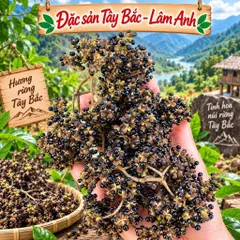 500Gr Hạt Mắc Khén Hoà Bình, Chuẩn Vị Hương Thơm Đặc Trưng, Gia Vị Núi Rừng Tây Bắc, Tẩm Ướp Gà, Cá Nướng, Gia Vị Chấm