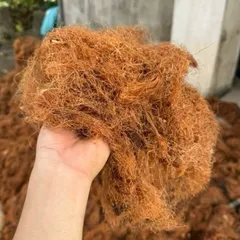 1Kg Râu Ngô Khô, Râu Bắp, Dùng Nấu Nước Sâm Lạnh, Nước Giải Khát, Thanh Nhiệt Tự Nhiên
