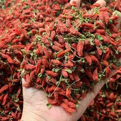1Kg Kỷ Tử Ninh Hạ HÀNG RỪNG (VIP) Màu Tự Nhiên Không Nhuộm, Hạt To Đều, Dùng Pha Trà, Tiềm Gà, Giúp Đẹp Da, Sáng Mắt