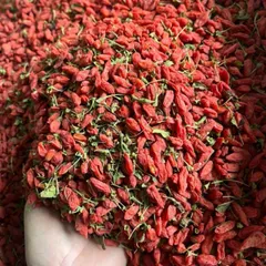 1Kg Kỷ Tử Ninh Hạ HÀNG RỪNG (VIP) Màu Tự Nhiên Không Nhuộm, Hạt To Đều, Dùng Pha Trà, Tiềm Gà, Giúp Đẹp Da, Sáng Mắt