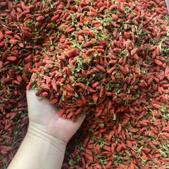 1Kg Kỷ Tử Ninh Hạ HÀNG RỪNG (VIP) Màu Tự Nhiên Không Nhuộm, Hạt To Đều, Dùng Pha Trà, Tiềm Gà, Giúp Đẹp Da, Sáng Mắt