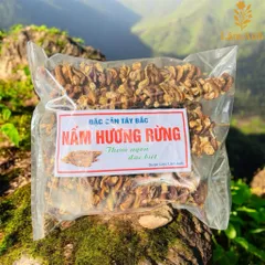 500gr Nấm Hương Rừng Xiên Khô - Đặc Sản Vùng Cao, Tai Dày Thơm Đậm, Bổ Sung Chất Xơ, Dùng Nấu Canh Xào Chay