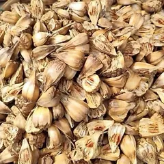 1Kg Quả Dứa Dại Rừng (Dứa Gai) Sao Vàng Hạ Thổ, Khô, Thơm, Hỗ Trợ Sỏi Thận, Sỏi Mật, Sỏi Tiết Niệu