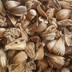 1Kg Quả Dứa Dại Rừng (Dứa Gai) Sao Vàng Hạ Thổ, Khô, Thơm, Hỗ Trợ Sỏi Thận, Sỏi Mật, Sỏi Tiết Niệu