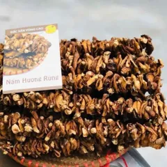 500gr Nấm Hương Rừng Xiên Khô - Đặc Sản Vùng Cao, Tai Dày Thơm Đậm, Bổ Sung Chất Xơ, Dùng Nấu Canh Xào Chay