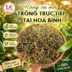 1Kg Cà Gai Leo Hoà Bình (Sao Vàng Hạ Thổ, Khô, Thơm) Thanh Mát, Dễ Uống, Dùng Hàng Ngày, Thảo Mộc Dân Gian