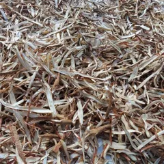 1Kg Sâm Cau Đỏ Hoà Bình (Đã Sao Vàng Hạ Thổ) - Thảo Dược Truyền Thống Hỗ Trợ Sinh Lực – Rễ Sâm Cau Thái Mỏng Phơi Khô