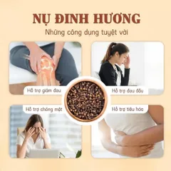 1Kg Nụ Đinh Hương Khô, Nụ To Thơm Phức, Gia Vị Nấu Phở, Lẩu, Mai Quế Lộ, Pha Trà Thơm Ngon Dễ Uống