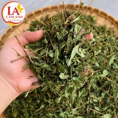 100g Cỏ Ngọt Nguyên Lá Khô – Thảo Mộc Tự Nhiên Tạo Vị Ngọt Thanh Mát, Hỗ Trợ Thanh Lọc Cơ Thể, Pha Trà Dễ Uống Mỗi Ngày