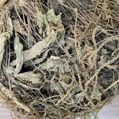 1Kg Cây Bông Mã Đề Khô (Sao Vàng Hạ Thổ) Vụ Mới, Thơm Tự Nhiên, Dùng Nấu Nước Và Hãm Trà Thảo Mộc