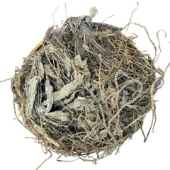 1Kg Cây Bông Mã Đề Khô (Sao Vàng Hạ Thổ) Vụ Mới, Thơm Tự Nhiên, Dùng Nấu Nước Và Hãm Trà Thảo Mộc