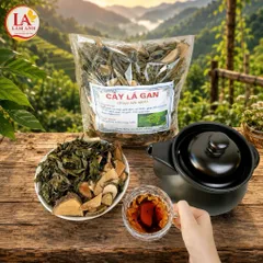 1Kg Cây Lá Gan Rừng (Sao Vàng Hạ Thổ, Thơm Mới) Hỗ Trợ Mát Gan, Gan Mỡ, Thanh Nhiệt, Ăn Ngủ Ngon, Detox Thanh Lọc Cơ Thể