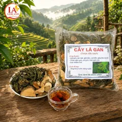 1Kg Cây Lá Gan Rừng (Sao Vàng Hạ Thổ, Thơm Mới) Hỗ Trợ Mát Gan, Gan Mỡ, Thanh Nhiệt, Ăn Ngủ Ngon, Detox Thanh Lọc Cơ Thể