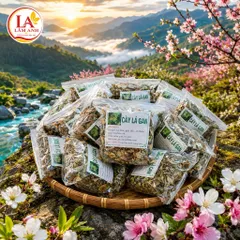 1Kg Cây Lá Gan Rừng (Sao Vàng Hạ Thổ, Thơm Mới) Hỗ Trợ Mát Gan, Gan Mỡ, Thanh Nhiệt, Ăn Ngủ Ngon, Detox Thanh Lọc Cơ Thể