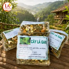 1Kg Cây Lá Gan Rừng (Sao Vàng Hạ Thổ, Thơm Mới) Hỗ Trợ Mát Gan, Gan Mỡ, Thanh Nhiệt, Ăn Ngủ Ngon, Detox Thanh Lọc Cơ Thể