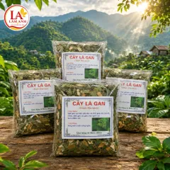1Kg Cây Lá Gan Rừng (Sao Vàng Hạ Thổ, Thơm Mới) Hỗ Trợ Mát Gan, Gan Mỡ, Thanh Nhiệt, Ăn Ngủ Ngon, Detox Thanh Lọc Cơ Thể