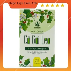 Trà túi lọc cà gai leo Hoà Bình hộp 20 gói chuẩn GACP-WHO (có chứng nhận ATVSTP)