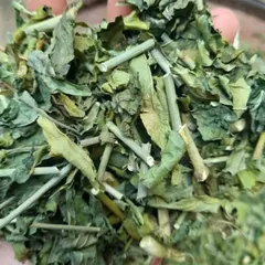 1Kg Cây Xương Khỉ (Sao Vàng Hạ Thổ, Khô Sạch Loại 1) – Hay Còn Gọi Là Bìm Bịp, Mảnh Cộng, Mát Gan, Thanh Nhiệt
