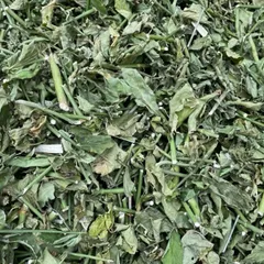 1Kg Cây Xương Khỉ (Sao Vàng Hạ Thổ, Khô Sạch Loại 1) – Hay Còn Gọi Là Bìm Bịp, Mảnh Cộng, Mát Gan, Thanh Nhiệt
