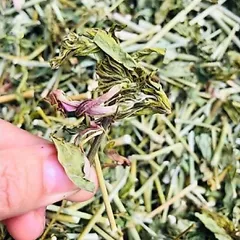 1Kg Cây Xương Khỉ (Sao Vàng Hạ Thổ, Khô Sạch Loại 1) – Hay Còn Gọi Là Bìm Bịp, Mảnh Cộng, Mát Gan, Thanh Nhiệt