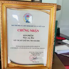 Cao Xạ Đen Hòa Bình 100g – Thảo dược hỗ trợ thanh lọc cơ thể, tăng cường sức khỏe, an thần, ngủ ngon, thanh nhiệt