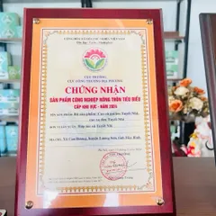Cao Xạ Đen Hòa Bình 100g – Thảo dược hỗ trợ thanh lọc cơ thể, tăng cường sức khỏe, an thần, ngủ ngon, thanh nhiệt