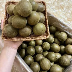 Combo 10 Quả La Hán (Quả To, Đều, Không vỡ) Ngọt Dịu, Dễ Chịu Cổ Họng, Nhẹ Người Thanh Giọng, Mát Cổ, Thanh Nhiệt
