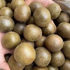 Combo 10 Quả La Hán (Quả To, Đều, Không vỡ) Ngọt Dịu, Dễ Chịu Cổ Họng, Nhẹ Người Thanh Giọng, Mát Cổ, Thanh Nhiệt