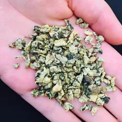 1Kg Lá Sen Cuộn (Sấy Lạnh) Hỗ Trợ Ổn Định Huyết Áp, Hỗ Trợ Mỡ Máu, Giúp Ngủ Ngon, Thanh Lọc Cơ Thể, Giải Nhiệt