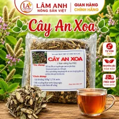 1Kg An Xoa Hoa Tím Hòa Bình (Sao Vàng Hạ Thổ) Vụ Mới Khô Thơm – Thảo Mộc Khô Tự Nhiên – Mát Gan, Thanh Nhiệt, Hạ Men Gan