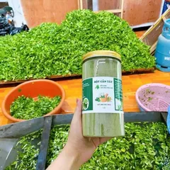 Bột cần tây sấy lạnh nguyên chất hộp - 500g