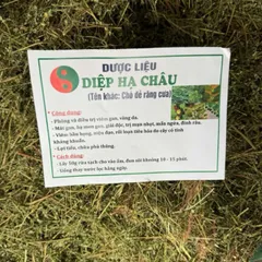 1Kg Diệp Hạ Châu (Chó Đẻ Răng Cưa) Sao Vàng Hạ Thổ, Khô, Thơm, Hỗ Trợ Thanh Nhiệt, Lợi Tiểu, Hỗ Trợ Sỏi Thận, Hỗ Trợ Gan