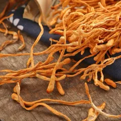 100gr Nấm Đông Trùng Hạ Thảo Sấy Khô – Sợi To Đẹp, Hương Thơm Tự Nhiên – Dưỡng Sức, Bổ Dưỡng Cơ Thể, Hàng Cao Cấp