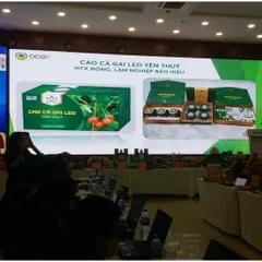 Cao Cà Gai Leo Yên Thủy – Bảo Hiệu (100gr) Thanh Nhiệt, Mát Cơ Thể, Hỗ Trợ Duy Trì Chức Năng Gan Và Sức Khỏe Hằng Ngày