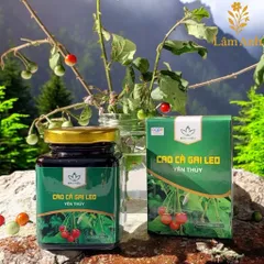 Cao Cà Gai Leo Yên Thủy – Bảo Hiệu (100gr) Thanh Nhiệt, Mát Cơ Thể, Hỗ Trợ Duy Trì Chức Năng Gan Và Sức Khỏe Hằng Ngày